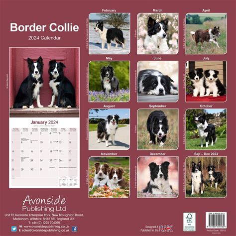 Bearded Collie Kalender Jessi Lucille