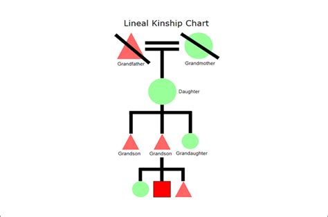 Kinship Diagram Template