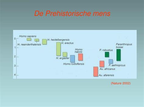 Ppt D Tijd Van Jagers En Boeren E Tijd Van Tijd Van Jagers En Boeren