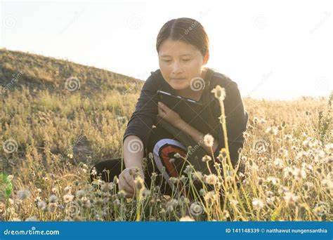 Work Outside the Office, Where You Can Work Stock Image - Image of ...