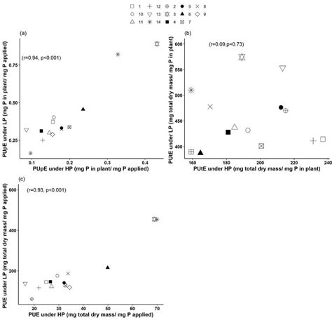 Effect Of P Levels On A Phosphorus Uptake Efficiency PUpE B