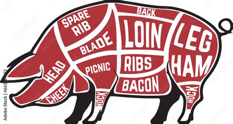 Butcher diagram, scheme and guide - Pork cuts. Set of pig silhouettes ...