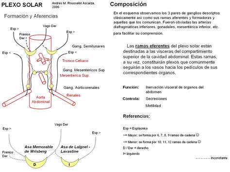 Anatom A Normal Plexo Solar