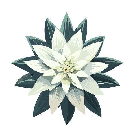 Edelweiss Floweredelweiss Clipart Ai Generative 30738785 Png