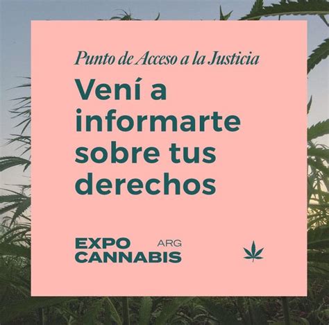 El Mpdcaba Brindar Informaci N Sobre La Situaci N Legal Del Cannabis