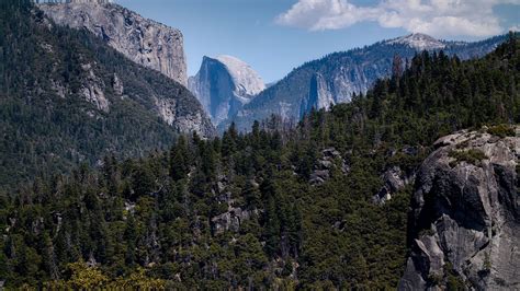 Formacja Skalna Half Dome W Parku Narodowym Yosemite