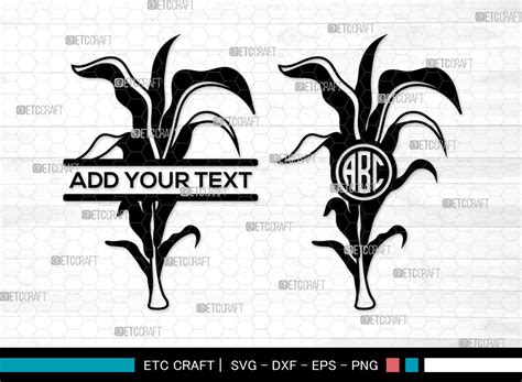 Corn Stalk Svg Monogram Corn Stalk Graphic By Pixel Elites Creative