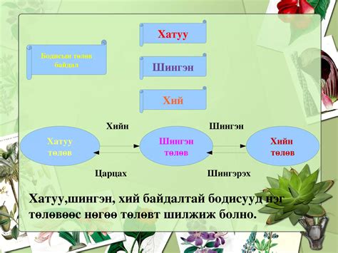 бодисын 3 төлөв | PPT