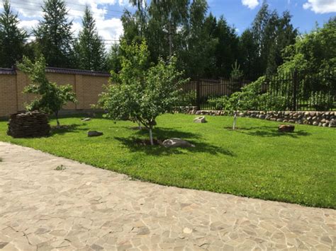Пансионат для пожилых людей Раменский район Добрые Сердца, цены