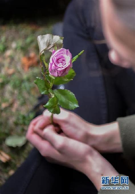 新西兰克赖斯特彻奇学生悼念恐袭案死难者 图说世界 东南网