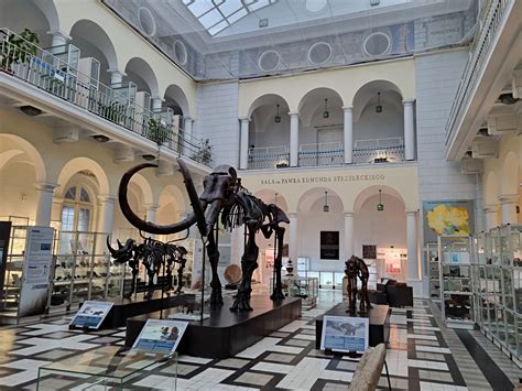 Muzeum Geologiczne w Warszawie ma już ponad sto lat