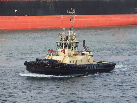 SVITZER HARTY 2006 Dutch Built Tug Southampton 11th Of Flickr