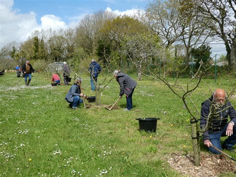 Avril Binage Paillage Greffe En Couronne Avalou Plabenneg