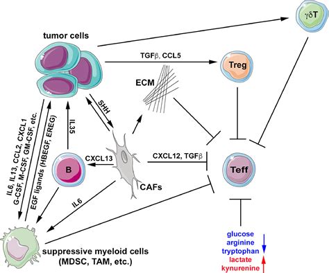 Recent Insights Into The Biology Of Pancreatic Cancer Ebiomedicine