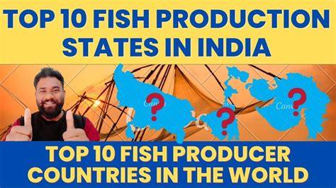 Highest Fish Production State In India Highest Fish Production