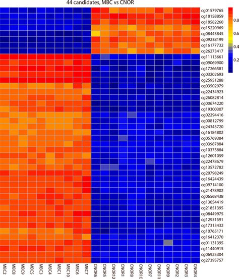 Heatmap Visualization Of The DNA Methylation Of 44 Differentially