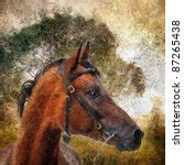 Chestnut Horse Painting (2) Free Stock Photo - Public Domain Pictures