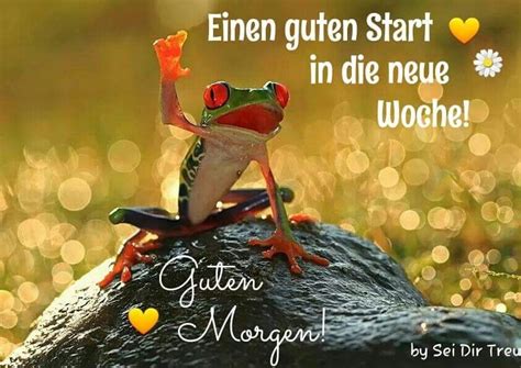 Pin Von Susanne Doehmann Auf Guten Morgen Montag Lustige Tiere