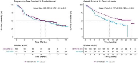 KaplanMeier Curves Of PFS And OS In Patients Receiving 1L