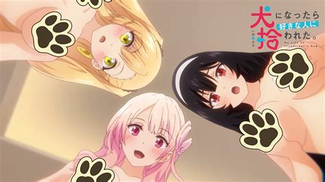 Movie｜tvアニメ「犬になったら好きな人に拾われた。」公式サイト