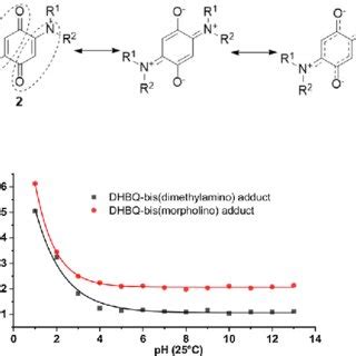 General Scheme Of The Reaction Of Dhbq With Secondary Amines To