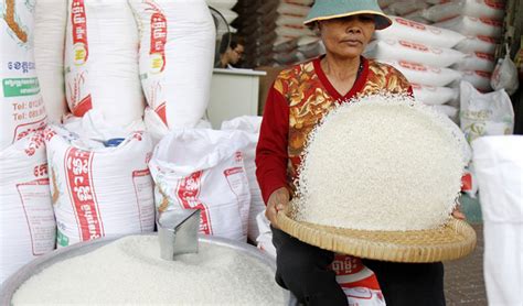 Cambodia Earns Mln From Milled Rice Export In Seven Months