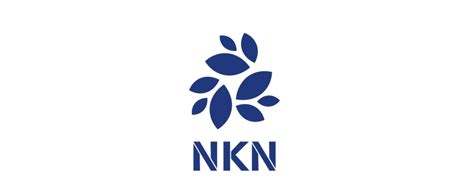 Nkn Coin Nedir Nkn Token Nas L Sat N Al N R Coinkolay