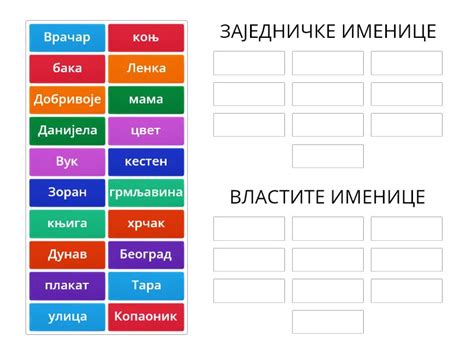 Властите и заједничке именице - Vrsta grupe