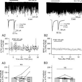 Effect Of Pgb On Epsc Bla And Epsc Lpb Recorded In Single Cec L Neurons