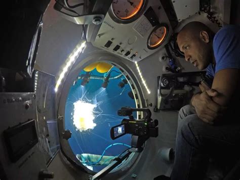Ocean Observations And Monitoring Meerwissen
