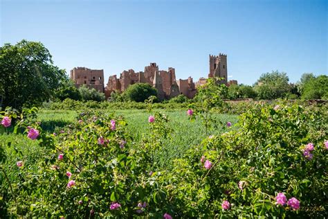 Vall E Des Roses Maroc Ouarzazate City