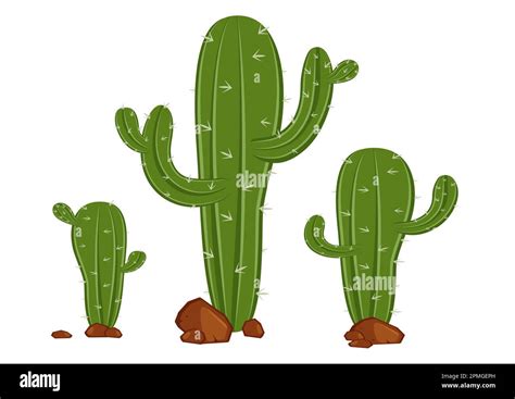 Different Types Of Cactus In Flat Style Vector Stock Vector Image Art