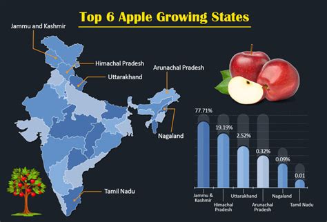 Apple Farming In India List Of Apple Varieties And Planting Method