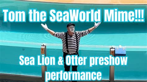 Tom The Seaworld Mime Performance Seaworld Orlando Florida Youtube