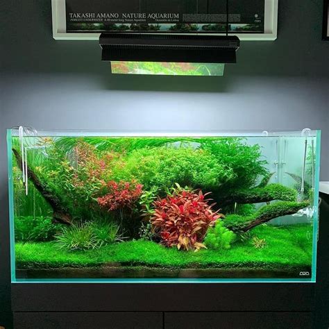 Desktop Aquarium Aquarium Setup Nano Aquarium Aquascape Aquarium