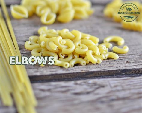 How To Use Different Types Of Pasta My Fearless Kitchen