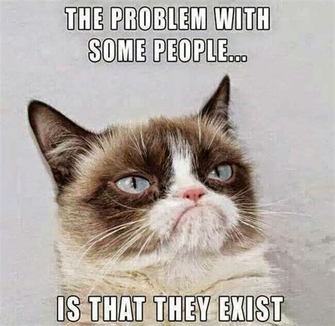 Best Grumpy Cat Memes To Convert A Face To A Smiley Face