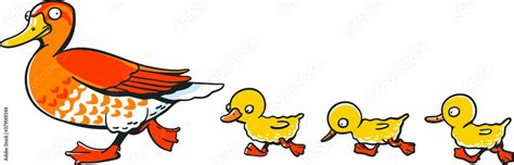 Cartoon Mother Duck With Babies Walks On White Background Stock Vector