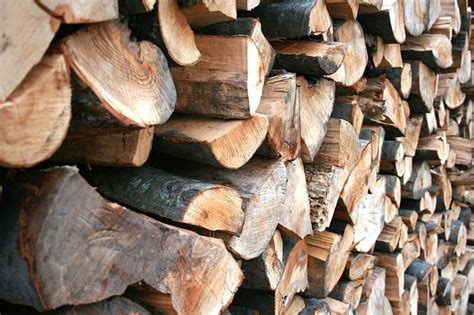 Thinning - Forestry Focus