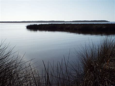 2460 Upper Neck Rd, Bayboro, NC 28515 - See Est. Value, Schools & More