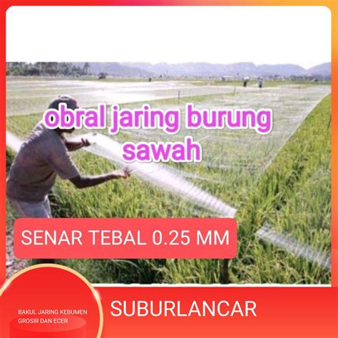 Jual Jaring Padi Sawah Jaring Pengaman Sawah Jaring Burung Perkutu