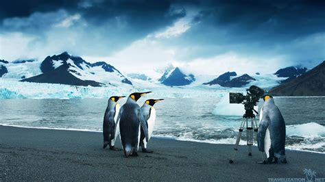 Moving Penguin Wallpapers (52+ images)