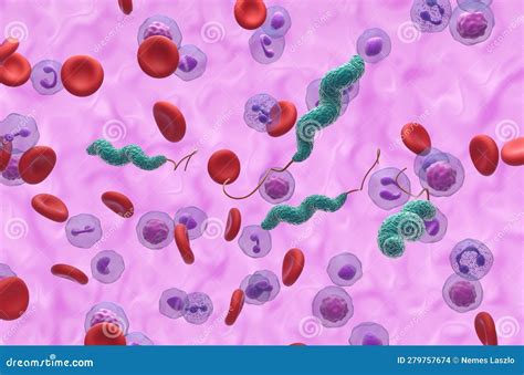 Campylobacter Jejuni Bacteria Scanning Electron Microscope Closeup