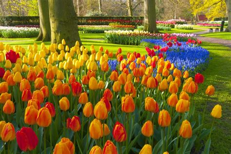 7 Top Spring Flower Festivals Around the World