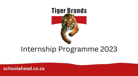 Tiger Brands Work Integrated Learning Wil Programme 2023 Schoolahead