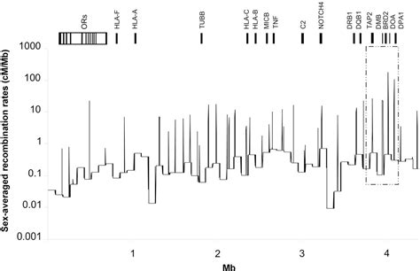 Figure 1 From A High Resolution Linkage Disequilibrium Map Of The Human