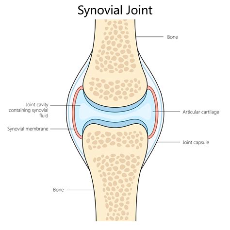 Why do your joints hurt when it's cold? We asked a doctor. | Popular