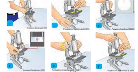 Cara Menggunakan Mikroskop