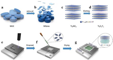 Schematic Diagram Of The Fabrication Of Ti3c2txgan Heterostructure