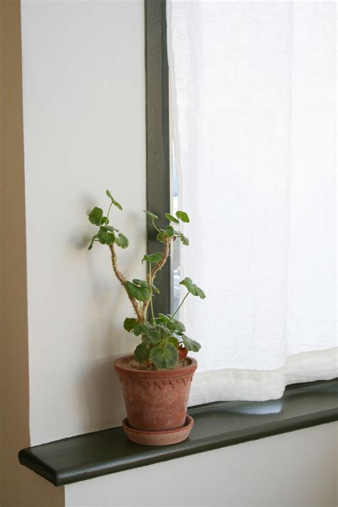 Painting Internal Upvc Window Frames Apartment Apothecary